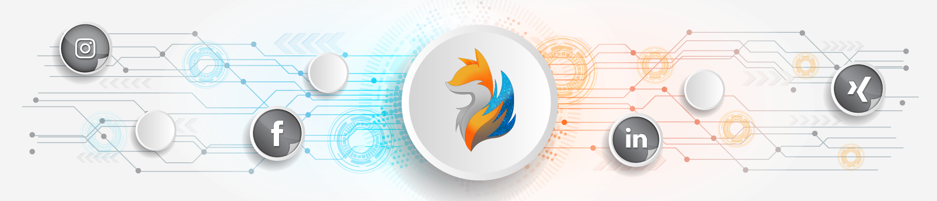 Übersicht Social Media Plattformen mit WappFoxx Logo